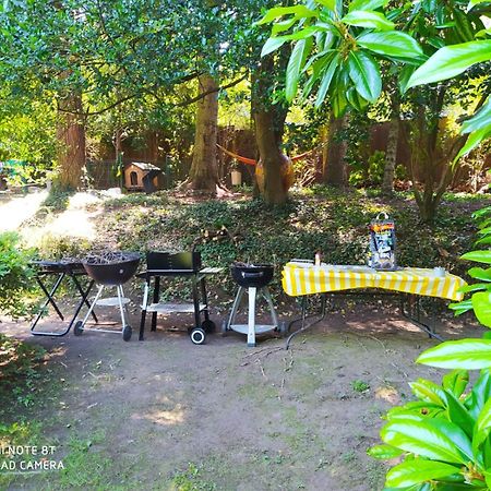"La Selvetta" Bed And Breakfast Buguggiate Ngoại thất bức ảnh